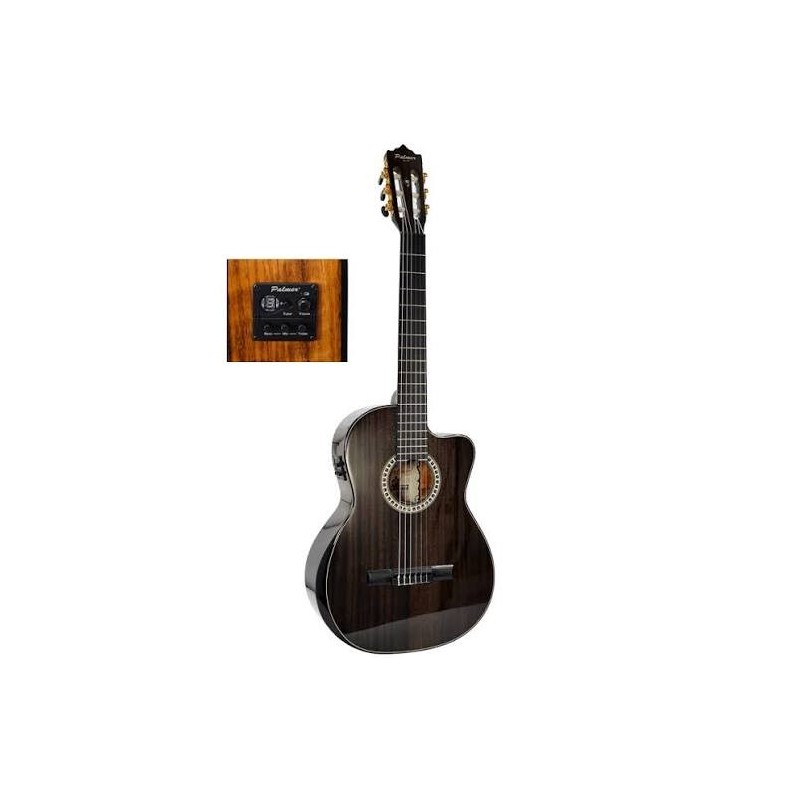 Guitarra Electroacustica Palmer
