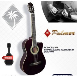 Guitarra Electroacustica Palmer