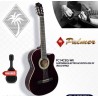 Guitarra Electroacustica Palmer
